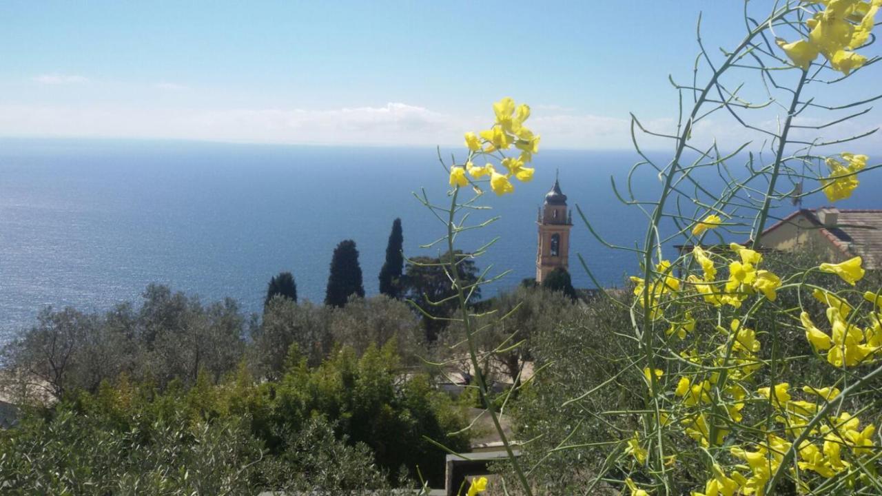 Il Gabbiano Di Pieve Pieve Ligure Exterior foto