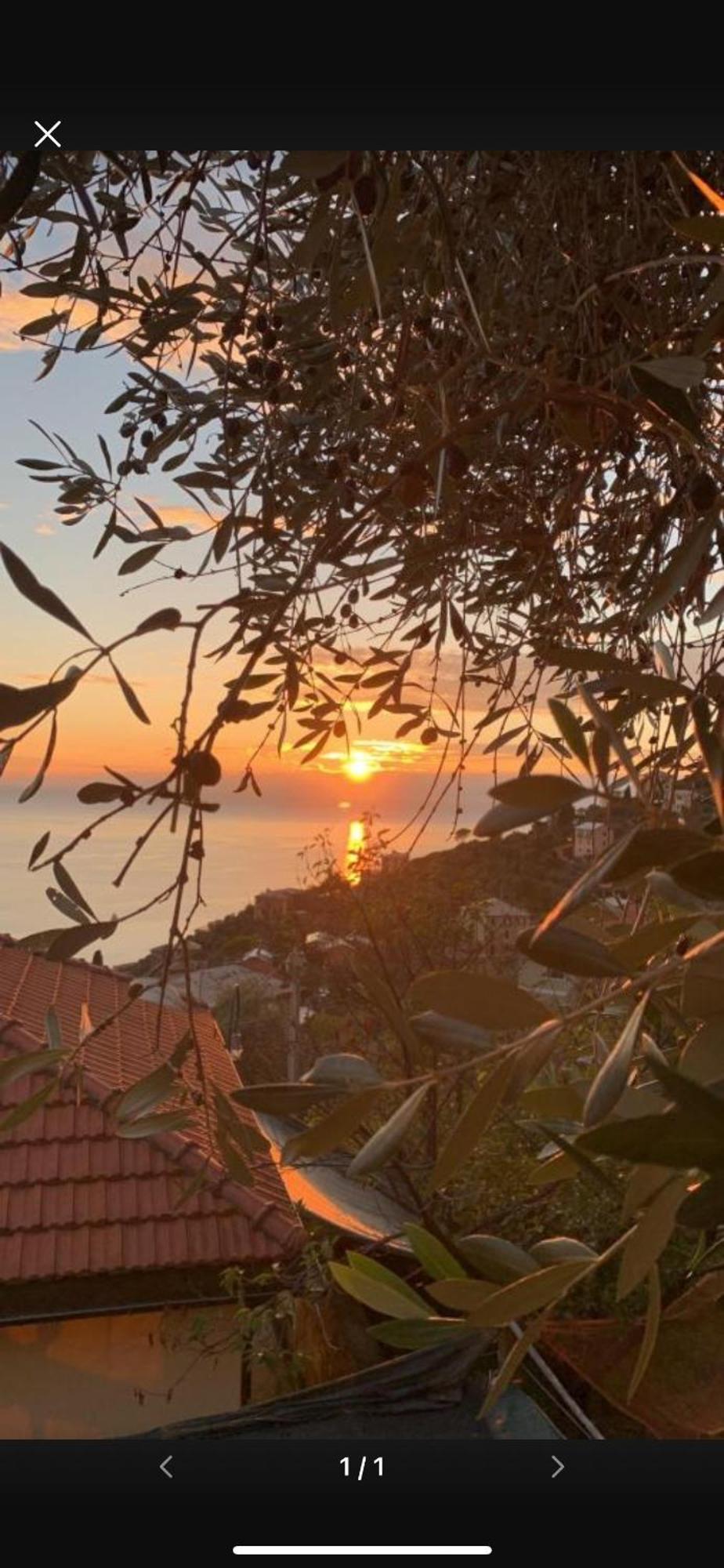 Il Gabbiano Di Pieve Pieve Ligure Exterior foto